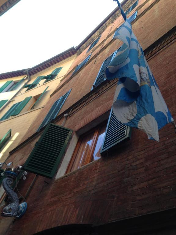 Palazzo Masi Bed & Breakfast Siena Exterior photo